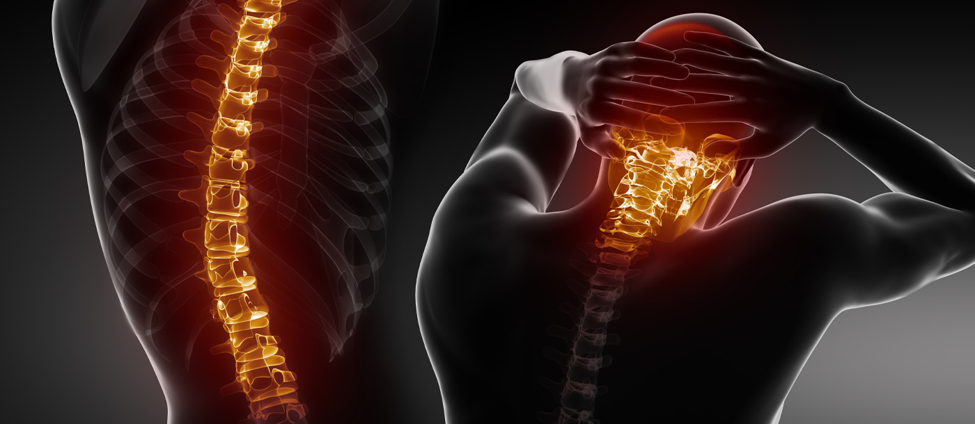spine & neck graphic